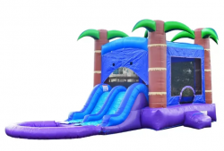 PURPLE20TROPICAL20JUMPING20CACTUS20PARTY20RENTALS 1705184028 Medium Combo Party Package